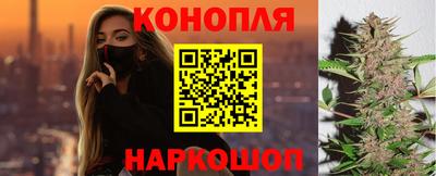 стаф Краснодар