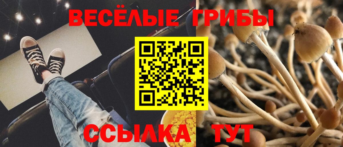 Ишимбай  Галлюциногенные грибы Cubensis  Вход с VPN  Галлюциногенные грибы Psilocybe 