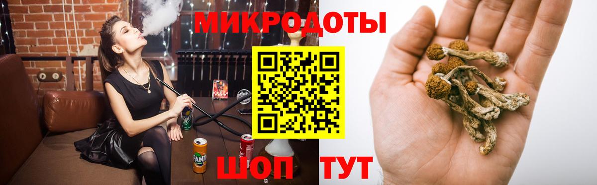 Псилоцибиновые грибы Psilocybe Ишимбай